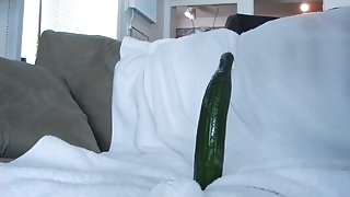 Cucumber lover